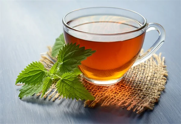 タンポポ茶の作り方！私が実践する庭で育てる3ステップ