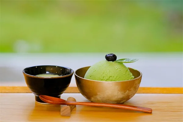 植物を休眠させて越冬させるコツと失敗しないポイント