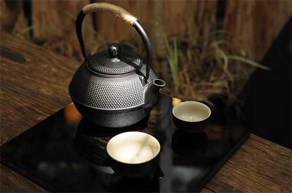 1月のブルーベリー剪定は【減らす】が正解！小さな実を大きくするコツ