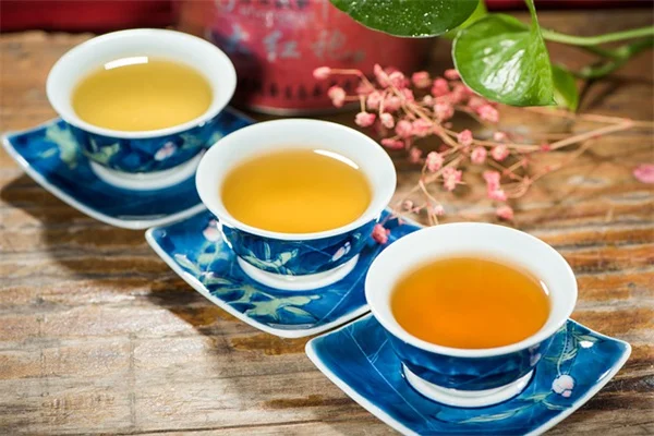 双色调植物の簡単な組み合わせ5組 – あなたの庭で試してみよう