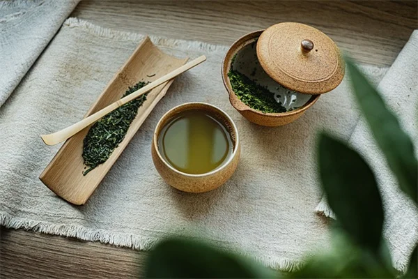 ガウラは本当に手間いらず？長く楽しむための育て方と管理のコツ
