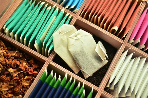 花の進化の歴史をひもとく：1億年前の化石から見る現代の花との意外な関係